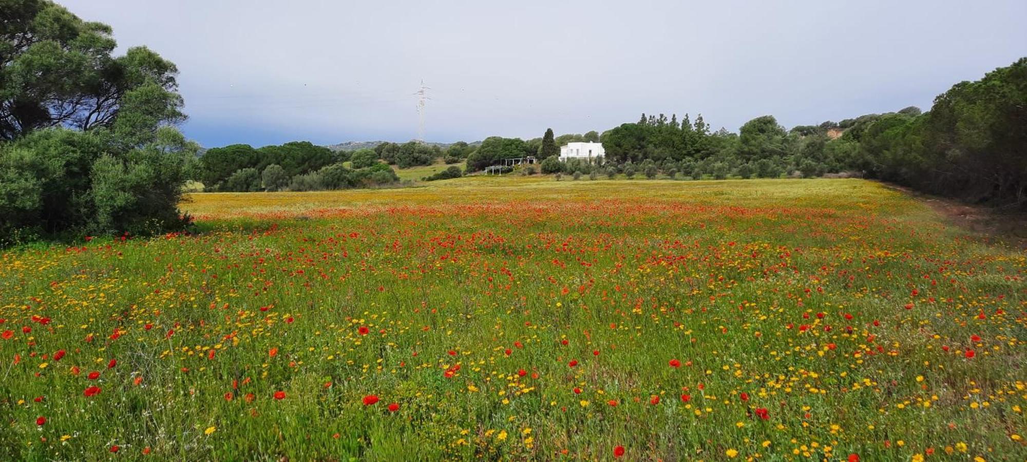 Agreen Country House Olbia Exteriér fotografie