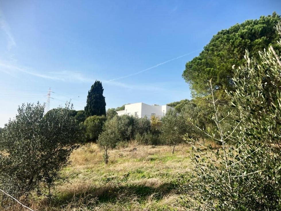 Agreen Country House Olbia Exteriér fotografie