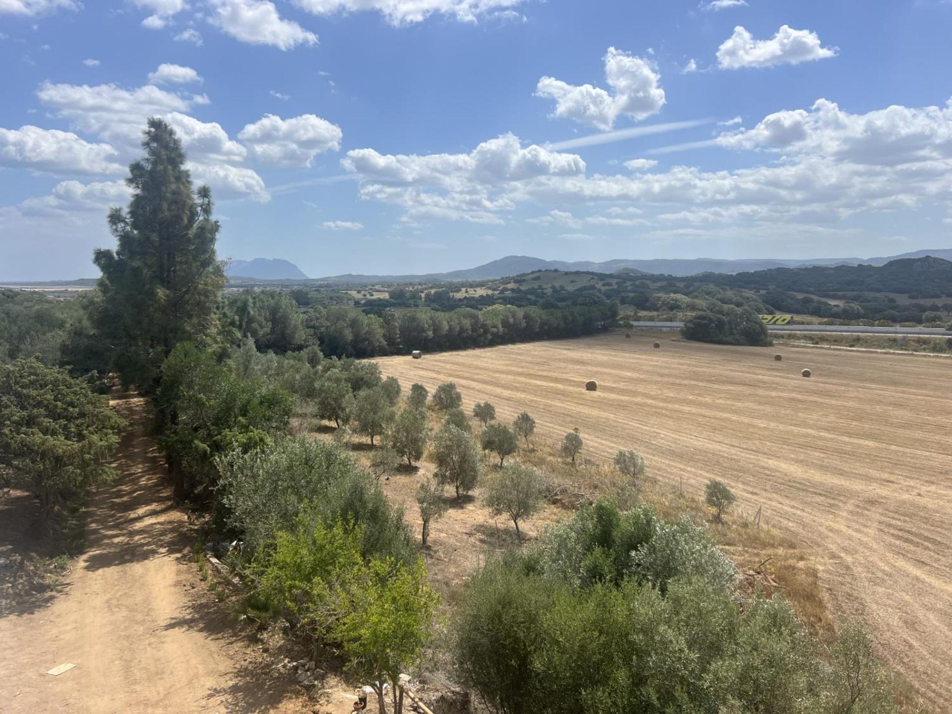 Agreen Country House Olbia Exteriér fotografie